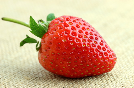 red strawberryの写真素材