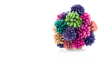 dry grassの写真素材