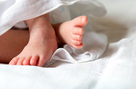 baby toesの写真素材