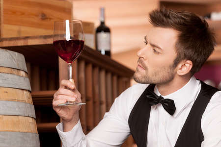 Confident sommelier  Thoughtful young sommelier holding a glass of wine and looking at it while sitting near wine barrelの写真素材