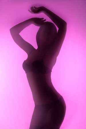 Beauty in lingerie  Beautiful young woman in lingerie posing while standing isolated on colored backgroundの写真素材