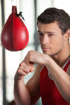 Boxer. Young boxer training at the punching bagの写真素材