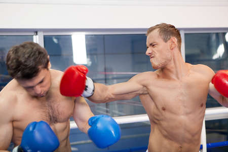 Final punch. Boxer punching his opponent on the boxing ringの写真素材