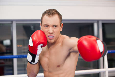 Boxer. Confident young boxer on the boxing ringの写真素材