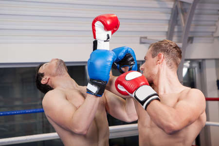 Men kickboxing. Two sportsmen kickboxing on the ringの写真素材