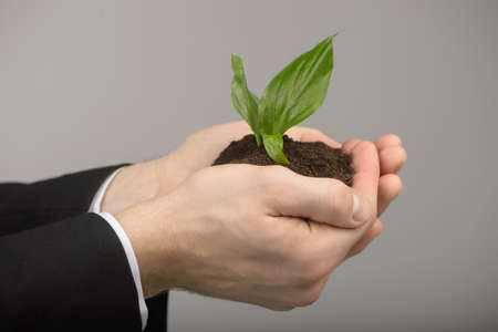 Taking care of new development or the environment