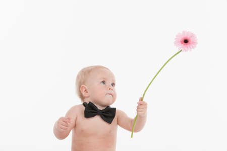 Cute little baby gentleman giving a beautiful flower. Standing in bow tie isolated over white backgroundの写真素材