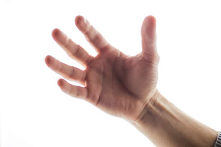 one hand isolated on white background. Male hand showing five fingers isolatedの写真素材