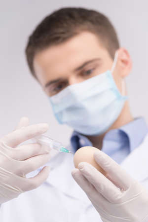 man doing medical injection into egg. young professional doing vaccine with syringe inside eggの写真素材
