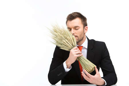 young caucasian man smells odour of fresh wheat. businessman with wheat sitting on white backgroundの写真素材