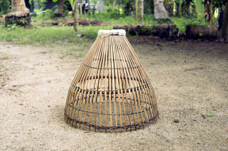 catch fish with a coopの写真素材