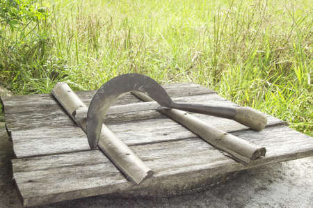 for the farmerの写真素材