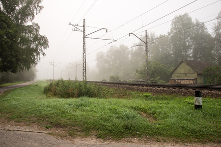 misty country road in the early morningの写真素材