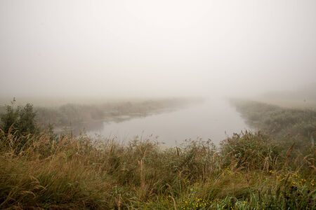swamp view wtih lakes and footpathの写真素材