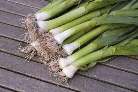 Freshly dug out leeks closeupの写真素材