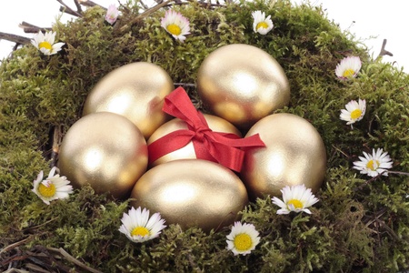 Golden eggs in bird nest over white background