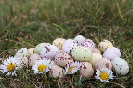 Colored  eggs  on green lawn