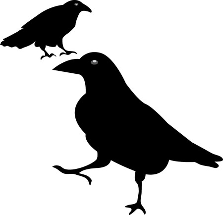 Raven, Crow, Black Birdsのイラスト素材