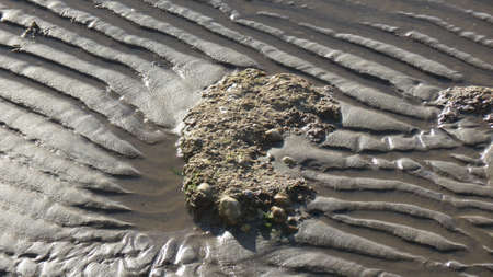 ripple   rock
