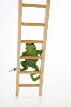 weathermanの写真素材