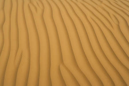 sand of desertの写真素材