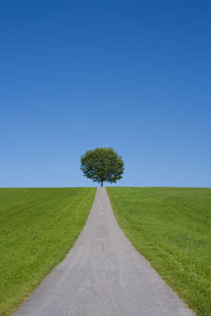 environment protectionの写真素材