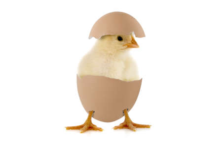 Happy easterの写真素材