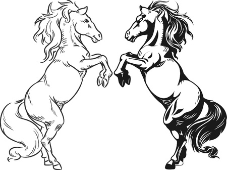 Sketch of Prancing Stallion or Horseのイラスト素材