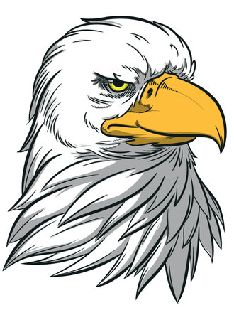 Eagle Head American Patriotic Hawk Birdのイラスト素材