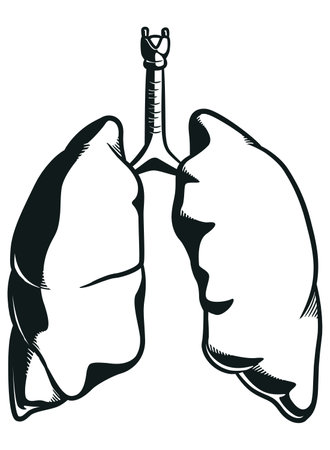 Silhouette Human Lungs Respiration Anatomy Partのイラスト素材