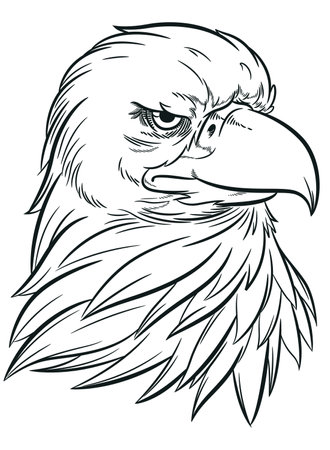 Sketch Bald Eagle Head Sports Mascotのイラスト素材