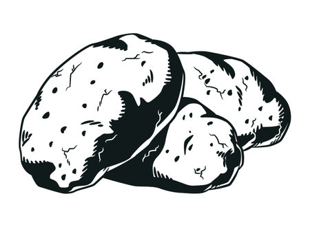 Silhouette Russet Potato Organic Farm Tuberのイラスト素材