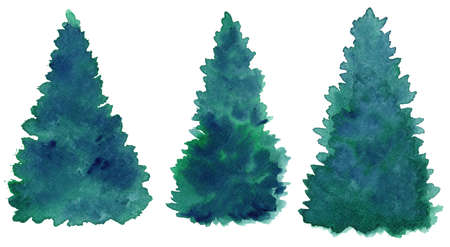 watercolor pineの写真素材