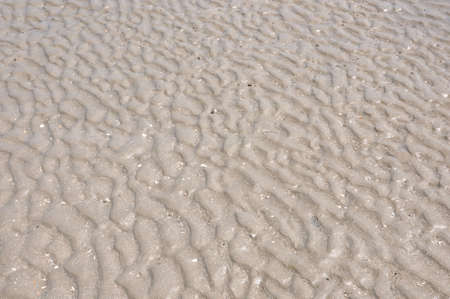 rippling sand on a sunlight beach background