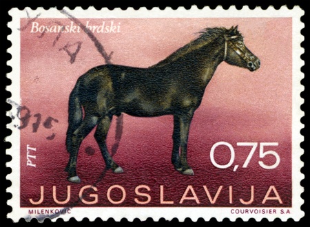 Yugoslavia - CIRCA 1969: a stamp printed by  Yugoslavia  shows Bosnian mountain horse, circa 1969の写真素材