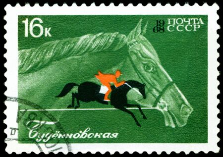 USSR- CIRCA 1968: a stamp  printed  USSR  by  shows   Donskay  Race  horse, circa 1968の写真素材