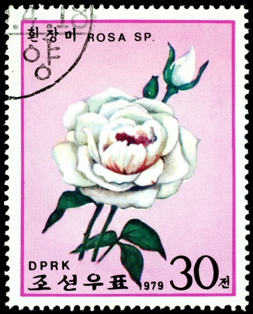 DPRK - CIRCA 1979: a stamp printed in DPRK shows image blanching rose, series, circa 1979の写真素材