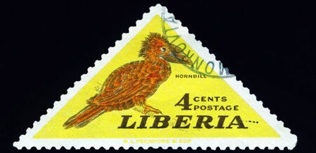 Liberia - CIRCA 1953: A stamp printed in Liberia shows hornbill bird, series, circa 1953.