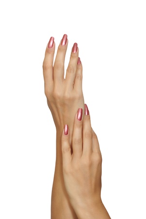 Hands of the woman on a white backgroundの写真素材