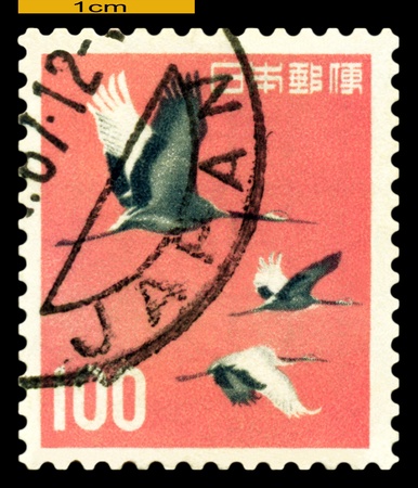 JAPAN - CIRCA 1962: a stamp  printed  in Japan shows  Japanese Crane,  circa 1962のeditorial素材