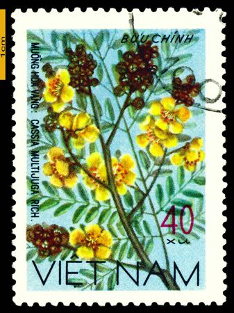 VIETNAM- CIRCA 1977: a stamp printed in Vietnam shows image  Cassia Multijuga, series, circa 1977
の写真素材