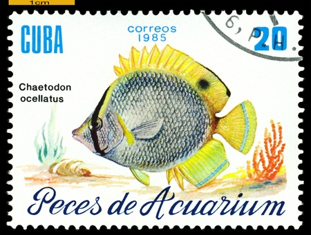 CUBA - CIRCA 1985  a stamp printed by Cuba  show the fish with the inscription  ï¿½Chaetodon ocellatusï¿½,  circa 1985の写真素材