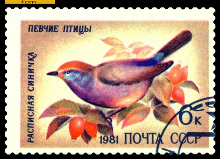 RUSSIA - CIRCA 1981: A stamp printed by Russia の写真素材