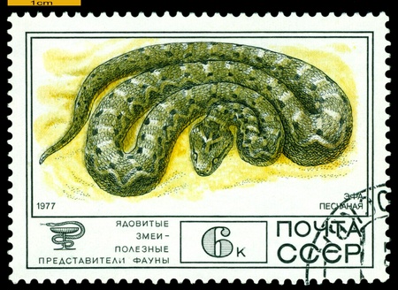 RUSSIA - CIRCA 1977: A Stamp sheet printed in Russia  shows  F-hole sand,  collection of Protected Fauna of the USSR, Poisonous Snakes, series, circa 1977   の写真素材