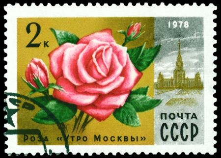 Russia - CIRCA 1978  a stamp printed in Russia shows  Rose  ï¿½ Moscov morning ï¿½, series  Moscov  Flowers, circa 1978のeditorial素材