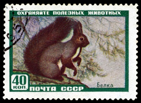 RUSSIA - CIRCA 1957: A Stamp sheet printed in Russia  shows   Protein. Series, Protect useful animals, circa 1957のeditorial素材
