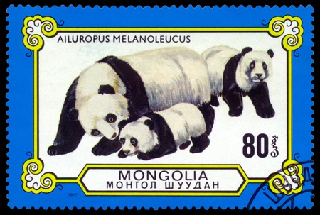 MONGOLIA  - CIRCA 1977: A Stamp sheet printed in Mongolia  shows  Family Pandas, series Pandas, circa 1977の写真素材