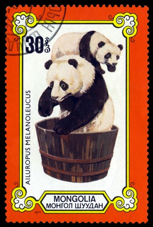 MONGOLIA  - CIRCA 1977: A Stamp sheet printed in Mongolia  shows  Female and cub in washtub, series Pandas, circa 1977の写真素材