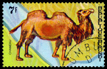 BURUNDI - CIRCA 1970 : A stamp printed by Burundi shows Animals Burundi,  camel Chameau, map Burundi, circa 1970.のeditorial素材