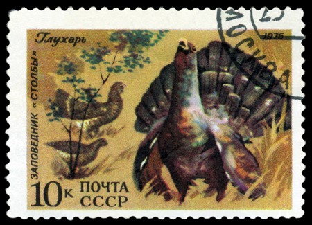RUSSIA - CIRCA 1975: A stamp printed by Russia shows bird an Old Squaw  from the series Berezina River and Stolby wildlife rezervations, 50th anniversary., circa 1975の写真素材